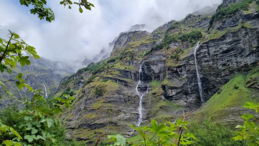שאמוני והאלפים הצרפתיים